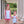 Hazel Short Set- Aqua Stripe/Pink