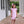 Camilla Dress- Light Pink Stripe