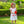 Pick of the Patch Dress