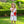 Pick of the Patch Dress