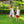 Pick of the Patch Short Set