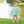 Catch of the Day Diaper Set