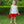 Pick of the Patch Bloomer Set