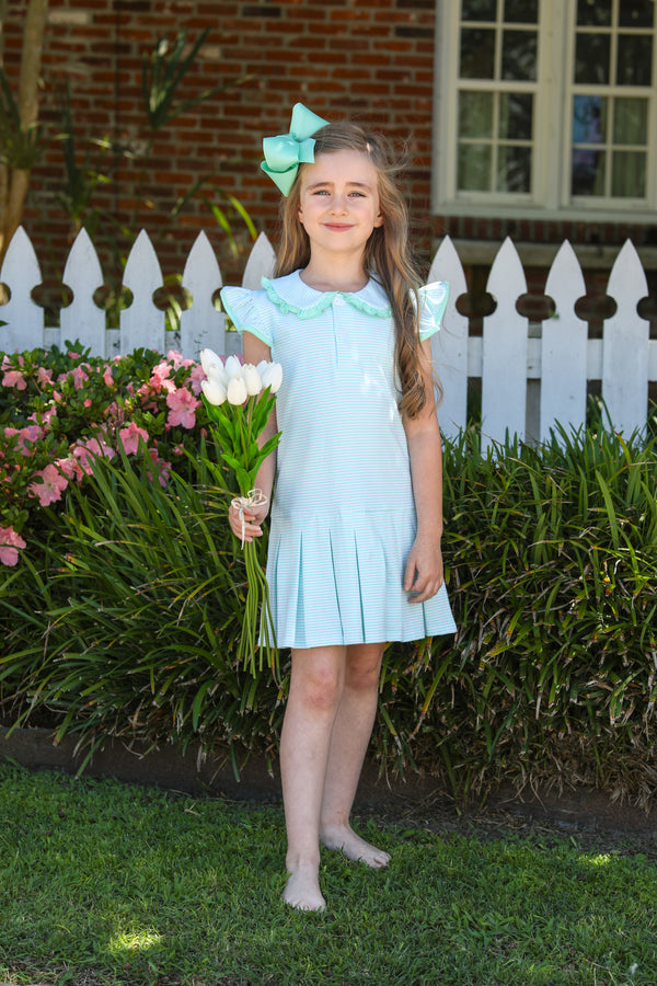 Camilla Dress- Mint Stripe