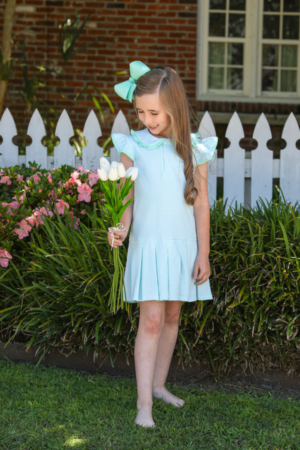 Camilla Dress- Mint Stripe