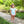 Mary Margaret Diaper Set- Mint Stripe/Light Pink