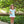 Mary Margaret Diaper Set- Mint Stripe/Light Pink