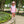 Josie Bubble- Pink Stripe/Teal