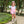 Josie Bubble- Pink Stripe/Teal