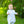 Dino Adventures Romper
