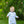 Dino Adventures Romper