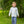 Dino Adventures Pants Set