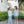 Vineyard Blooms Play Set