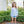 Vineyard Blooms Play Set