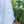 Vineyard Blooms Play Set