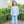 Vineyard Blooms French Terry Set