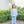 Vineyard Blooms French Terry Set