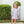 Autumn Blooms Bloomer Set