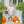 Pumpkin Patch Short Set