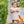 Pumpkin Patch Scalloped Bubble