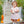 Pumpkin Patch Scalloped Bubble