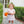 Pumpkin Patch Scalloped Bubble