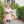 Pumpkin Patch Scalloped Bubble