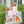 Pumpkin Patch Ruffle Bloomer Set
