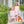 Pumpkin Patch Ruffle Pant Set