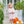 Pumpkin Patch Ruffle Bloomer Set