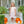 Pumpkin Patch Scalloped Dress