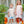 Pumpkin Patch Scalloped Dress