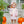 Pumpkin Patch Ruffle Bloomer Set