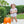 Pumpkin Floral Bubble