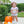 Pumpkin Floral Bubble