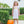 Pumpkin Floral Dress