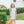 Pumpkin Floral Dress