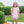 Pumpkin Floral Short Set