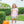 Pumpkin Floral Short Set