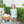 Pumpkin Rowe Bloomer Set