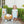 Pumpkin Rowe Bloomer Set