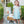 Pumpkin Rowe Dress