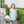 Pumpkin Rowe Dress