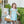 Pumpkin Rowe Dress