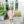 Scarlett Dress- Light Pink Stripe/Mint