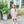 Scarlett Dress- Light Pink Stripe/Mint