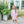 Scarlett Dress- Light Pink Stripe/Mint