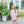 Scarlett Dress- Light Pink Stripe/Mint