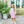 Scarlett Dress- Light Pink Stripe/Mint