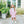 Scarlett Dress- Light Pink Stripe/Mint